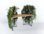Bureau design végétalisé, cocon acoustique